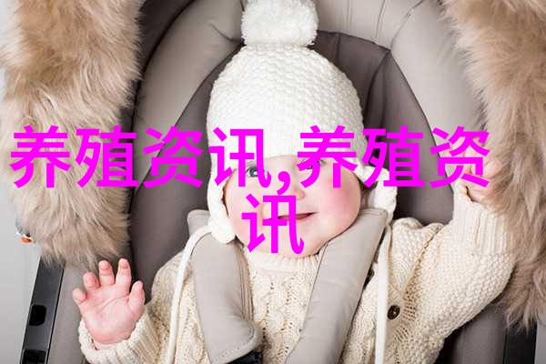 董红韬林后院鸡打开致富门