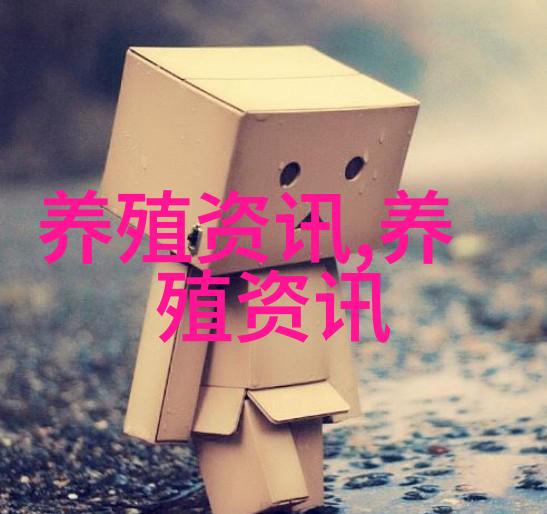 蜜蜂育种蜜蜂的快速繁殖技术
