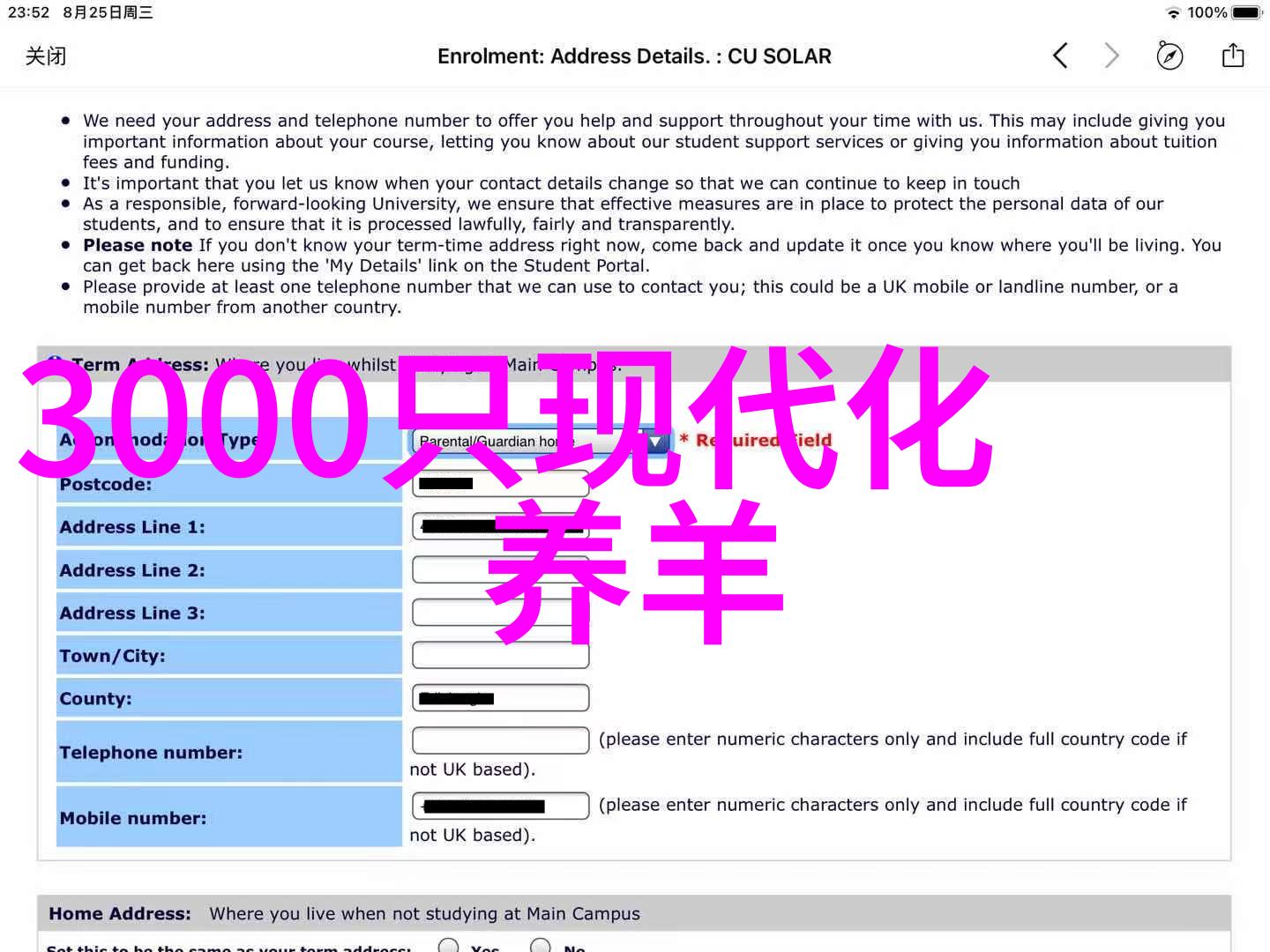 规模养殖场如何控制奶牛蹄病的发生