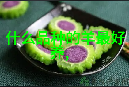 秋季奶牛配种注意要点