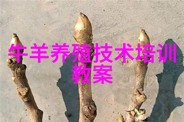 提高奶牛产奶量14种方法