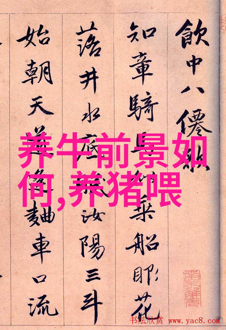 奶牛产犊前后的特殊护理