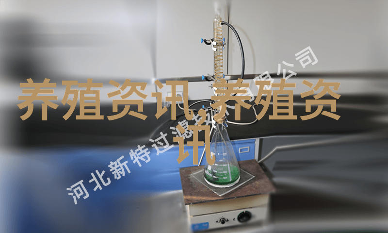 连续5年主营业务亏损正虹科技该股从企业基本面下降下降