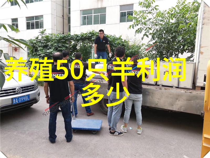 夏季奶牛饲养管理注意事项