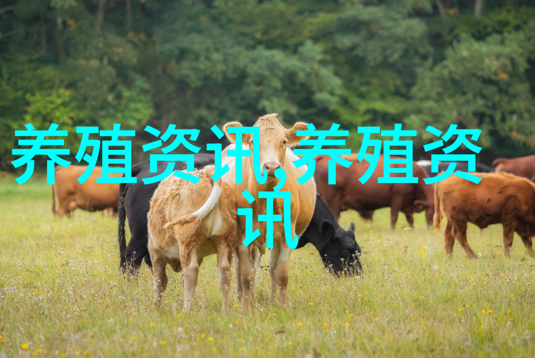 蛇能帮忙小团伙跳到河边被蛇吓了一跳