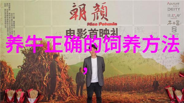把握六大关键点冬季提高奶牛产奶量