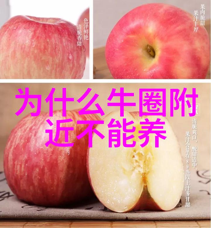 重视奶牛的几个信号 实时调整日粮配方