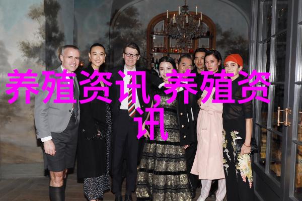 肉鸡市场疲软为什么农民不能输