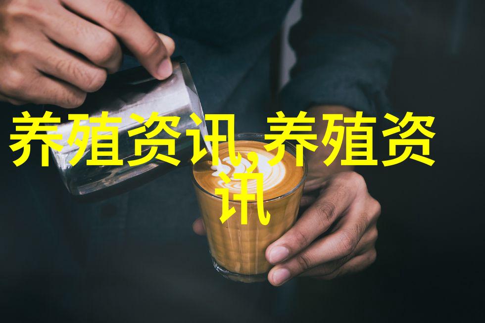 鸡来了唐人街的中国家禽店被包围了