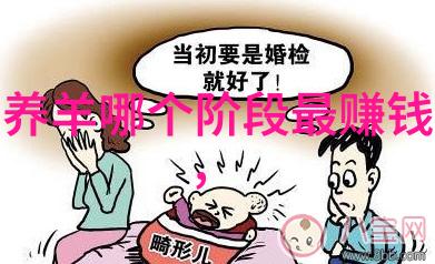 奶牛干奶期乳房炎的防治