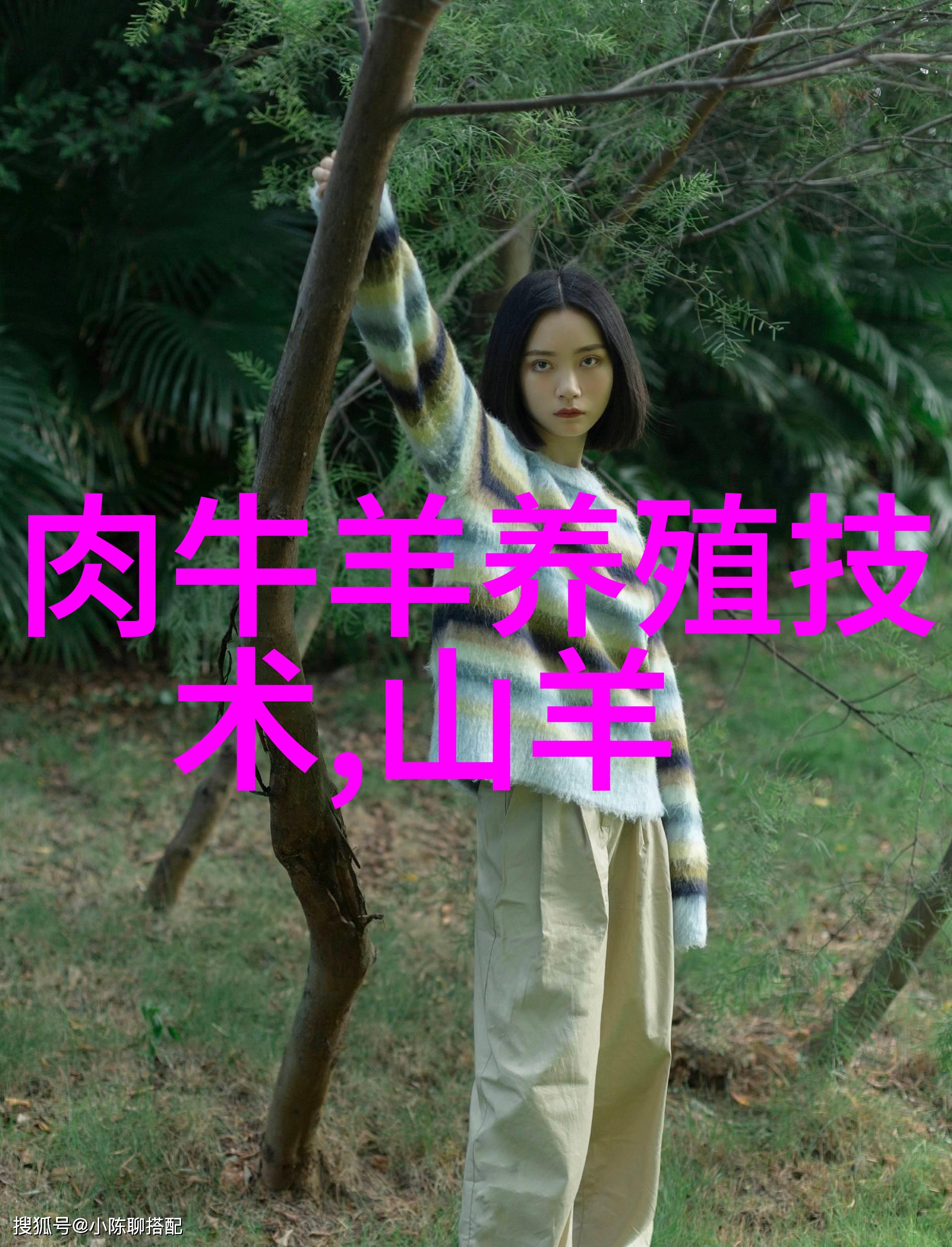 奶牛寄生虫病的防治措施