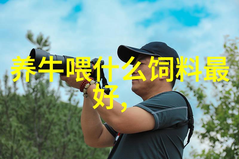 奶牛饲喂的几个误区