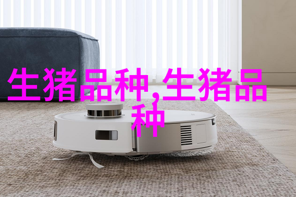 赣东黑猪